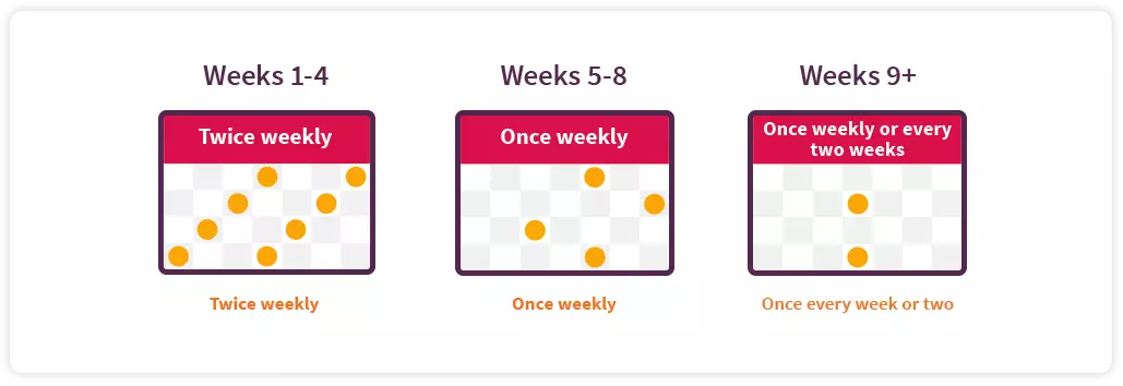 Weeks 1-4, Weeks 5-8 and Weeks 9+ schedules